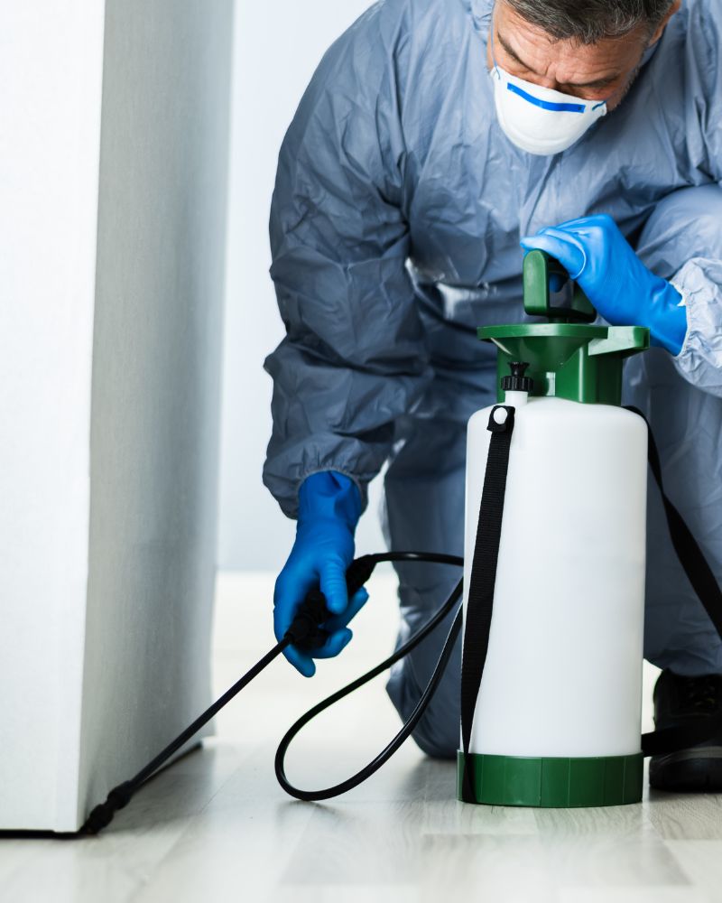 About - Sera Pest Management pvt ltd